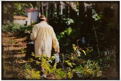 FOTOBLOG: Olšany