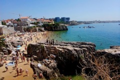 c52594e3-7c83-436c-8429-d5de55a62045