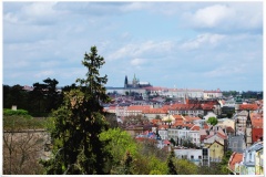 Vyhled-s-cesty-na-vysehrad