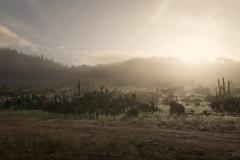 Red Dead Redemption 2