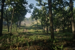 Red Dead Redemption 2