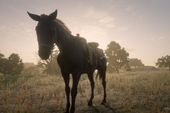 Red Dead Redemption 2