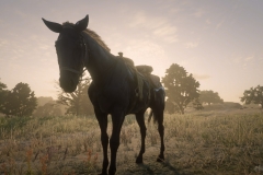 Red Dead Redemption 2