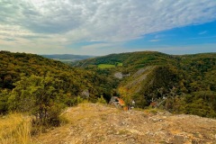 IMG_1234
