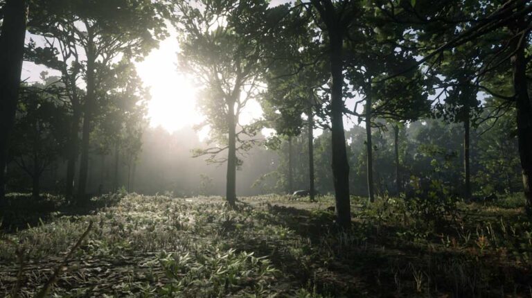 Screeny: Red Dead Redemption 2