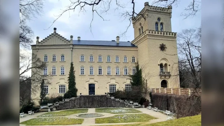 Krajem modré chryzantémy