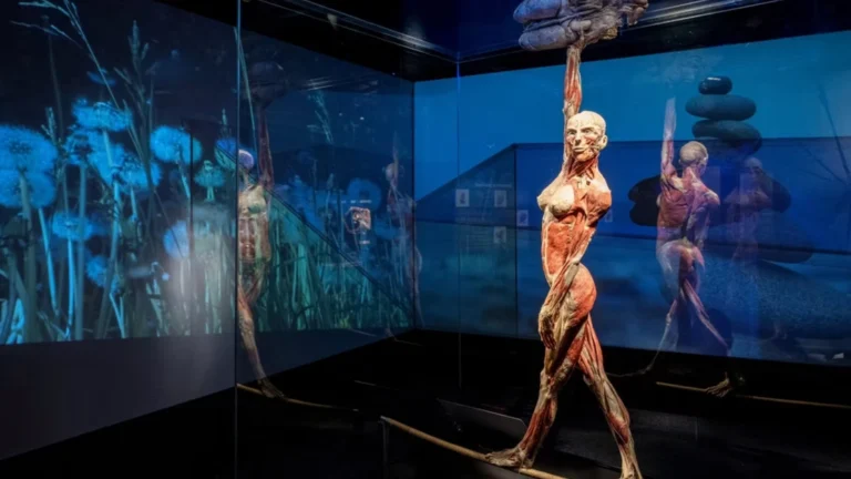 Výstava Body Worlds