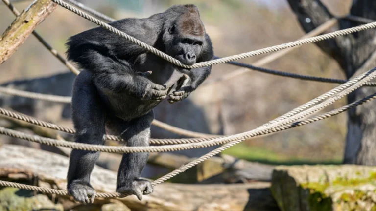 Zoo Praha vítá jaro