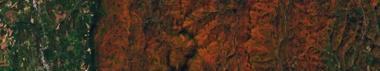 Zpráva dne